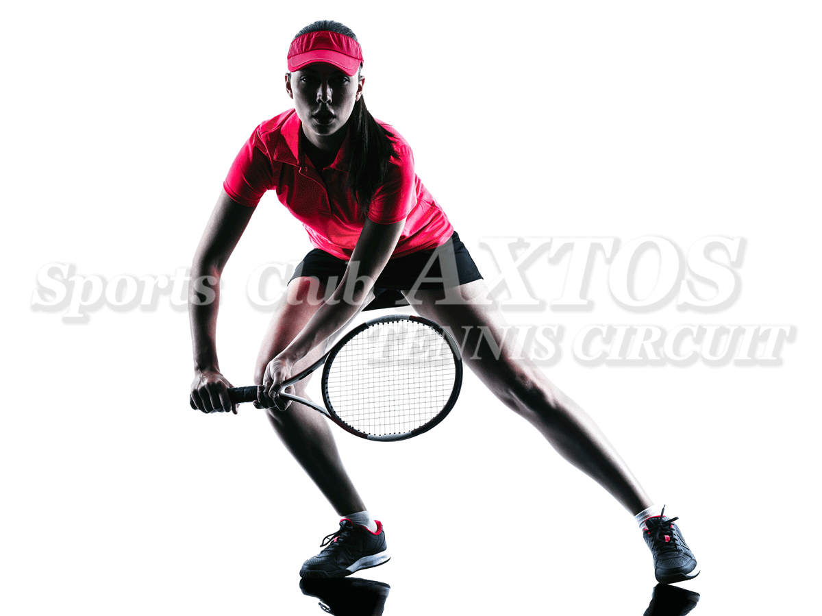 テニスサーキットシリーズ要項・スケジュールダウンロードイメージ